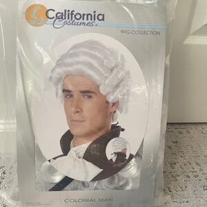 New Colonial Man Wig